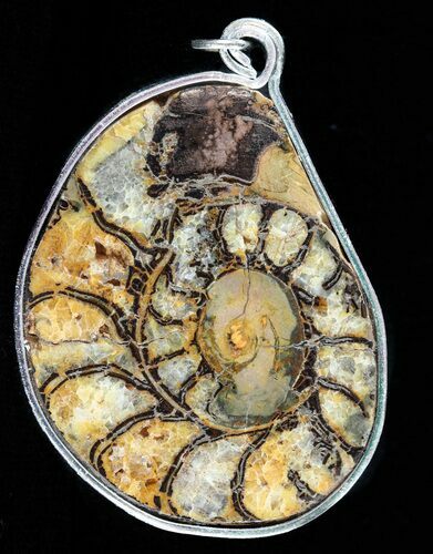 Moroccan Ammonite Fossil Pendant #58386